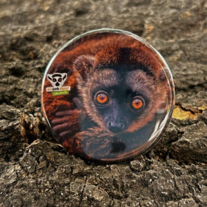 Placka - lemur